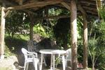 Photos of Studio Formana