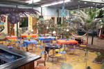 Photos of Tucan Hotel