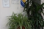 Hostel Magdalena-Lena - Image 8