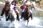 Adventure Park & Hotel Vista Golfo - Image 10