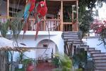 Photos of Hotel Don Agucho
