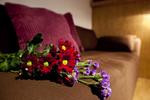 Photos of Dahlia Inn