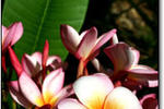 Anaconda Lodge - Image 7