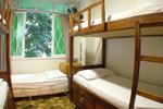 Bamboo Rio Hostel - Image 5