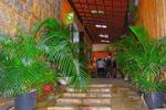 Bamboo Rio Hostel - Image 8