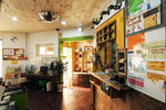 Banana Backpackers - Image 5