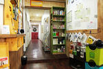 Banana Backpackers - Image 6