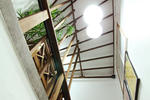 Banana Backpackers - Image 9