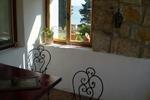 Photos of Hostel Temenuga
