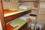 Botel Zebra - Image 3