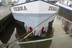 Botel Zebra - Image 4