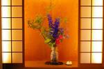 Photos of Ryokan Wakamiya