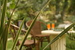 B&B Lotus Flower - Image 3