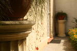 B&B Lotus Flower - Image 5