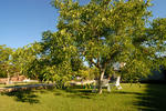 BB da Giovanna - Image 6
