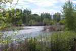 Century 2 Campground - Image 3