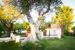 Masseria Cesarina - Image 7