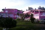 Villa Cinthia - Image 10