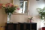 Photos of Hotel Yasha