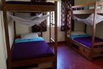 Ujamaa Hostel - Image 4