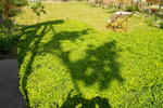 Photos of Hostel Del Mar