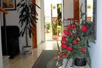 Hostal Andalucia - Image 2