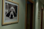 Blue Moon Apartments - Image 7