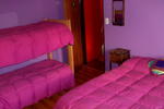 Pehuenia hostel y cabañas - Image 7