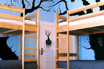 Living Lounge Hostel - Image 4
