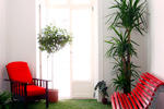 Living Lounge Hostel - Image 7