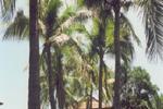 Photos of Riverside Resort Hoi An