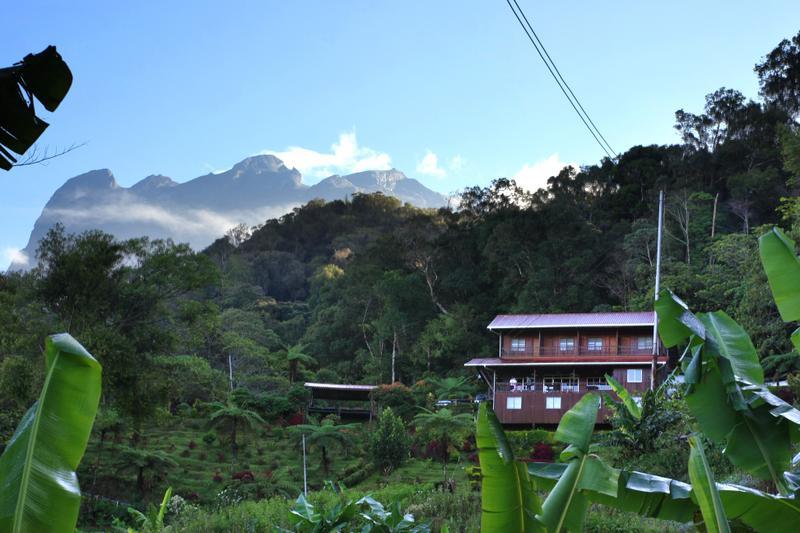 Kinabalu Mountain Lodge  0