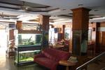 Anchalee Inn Guest House - Image 8