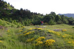 Photos of La Gruber