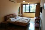 Goan Clove - Image 4