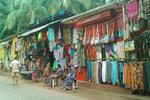 Goan Clove - Image 5