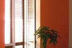 Barletta Orange