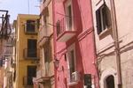 Barletta Orange - Image 3