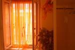 Barletta Orange - Image 5