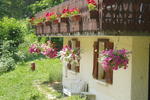 Chalet D'Amo