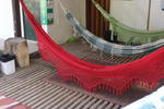 Tambopata Hostel - Image 7