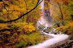 Seorak Morning Inn - Image 4