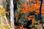 Seorak Morning Inn - Image 6
