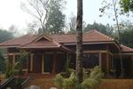 Wayanad Blooms - Image 1