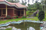 Wayanad Blooms - Image 2