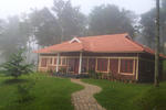Wayanad Blooms - Image 3