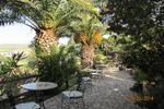 Agriturismo Reggia Saracena - Image 5