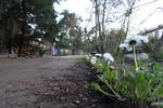 Photos of La Casa del Viajero