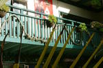 Birdsong Backpackers - Image 7