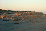 Birdsong Backpackers - Image 10